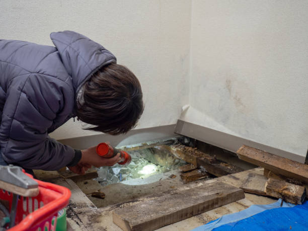 Best Airborne Mold Testing  in Brandenburg, KY