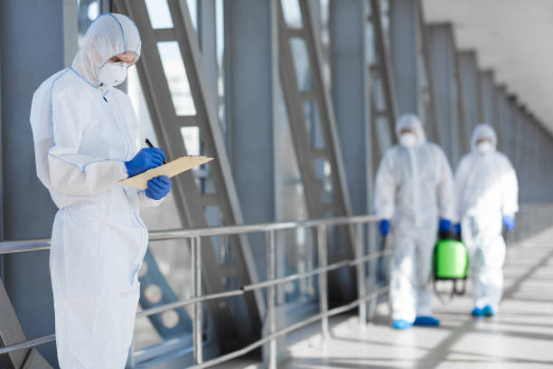 Professional Mold Removal in Brandenburg, KY