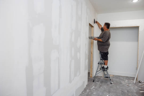 Best Mold Remediation for Healthcare Facilities  in Brandenburg, KY