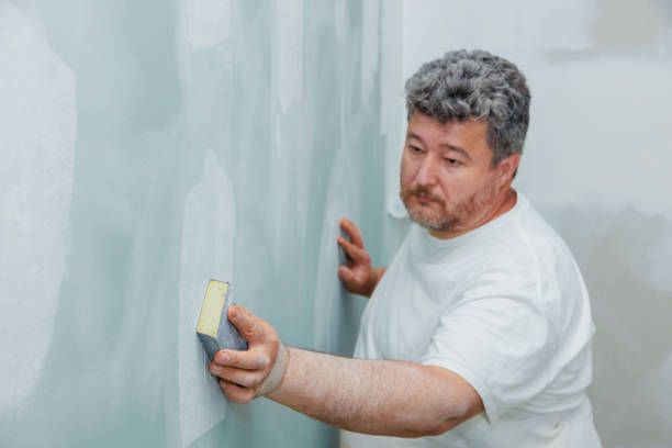 Best Commercial Mold Inspection  in Brandenburg, KY