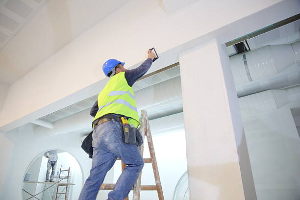 Best Biohazard Mold Removal  in Brandenburg, KY