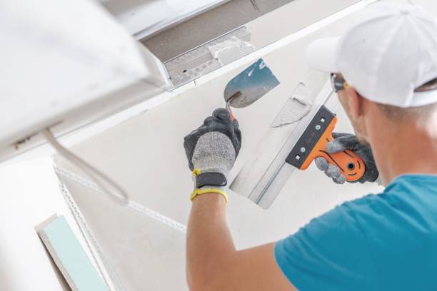 Best Mold Prevention Services  in Brandenburg, KY